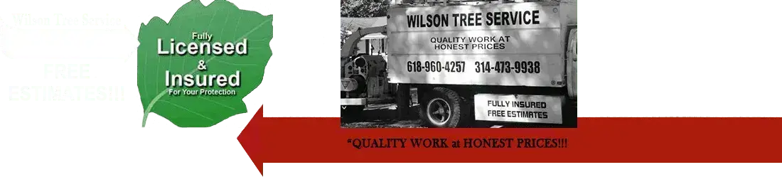 tree service alton il