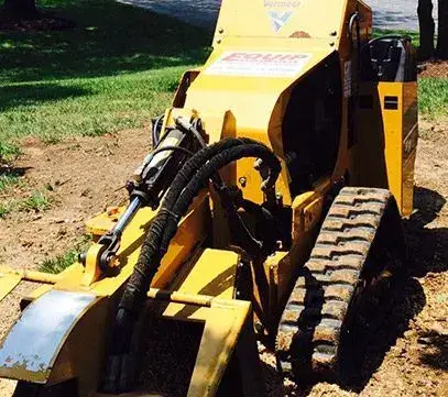 stump removal alton il