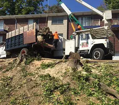 brush removal in alton il